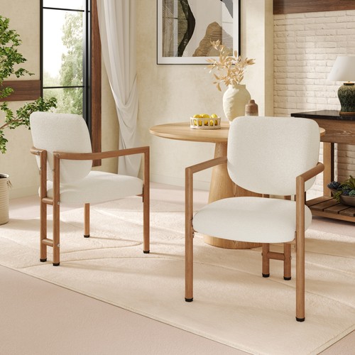 2pcs dining chairs with - 2pcs,