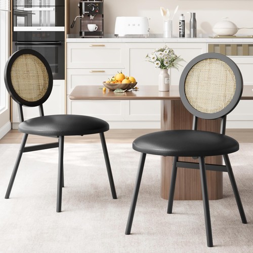 Modern rattan dining chairs - dining,